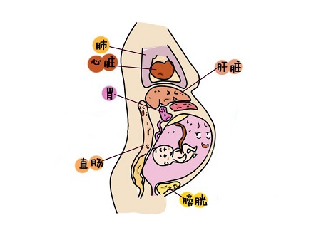 数字化时代下的孕期健康管理，孕身体在线平台助力孕期健康监测与管理