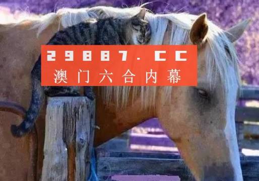 2024年澳门资料免费大全,专业解析评估_豪华款48.856