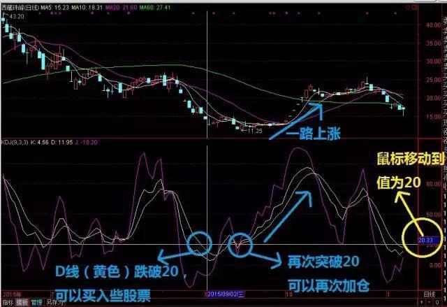 王中王100℅期期准澳彩｜实用技巧与详细解析