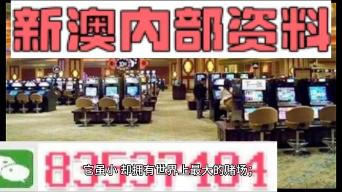 2024澳门精准正版免费,动态解析词汇_GT26.689