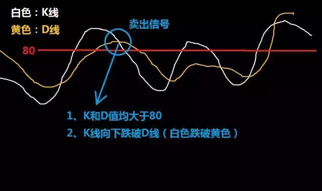 新奥天天正版资料大全｜实用技巧与详细解析